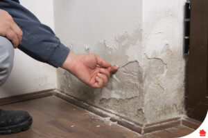 wall with damp